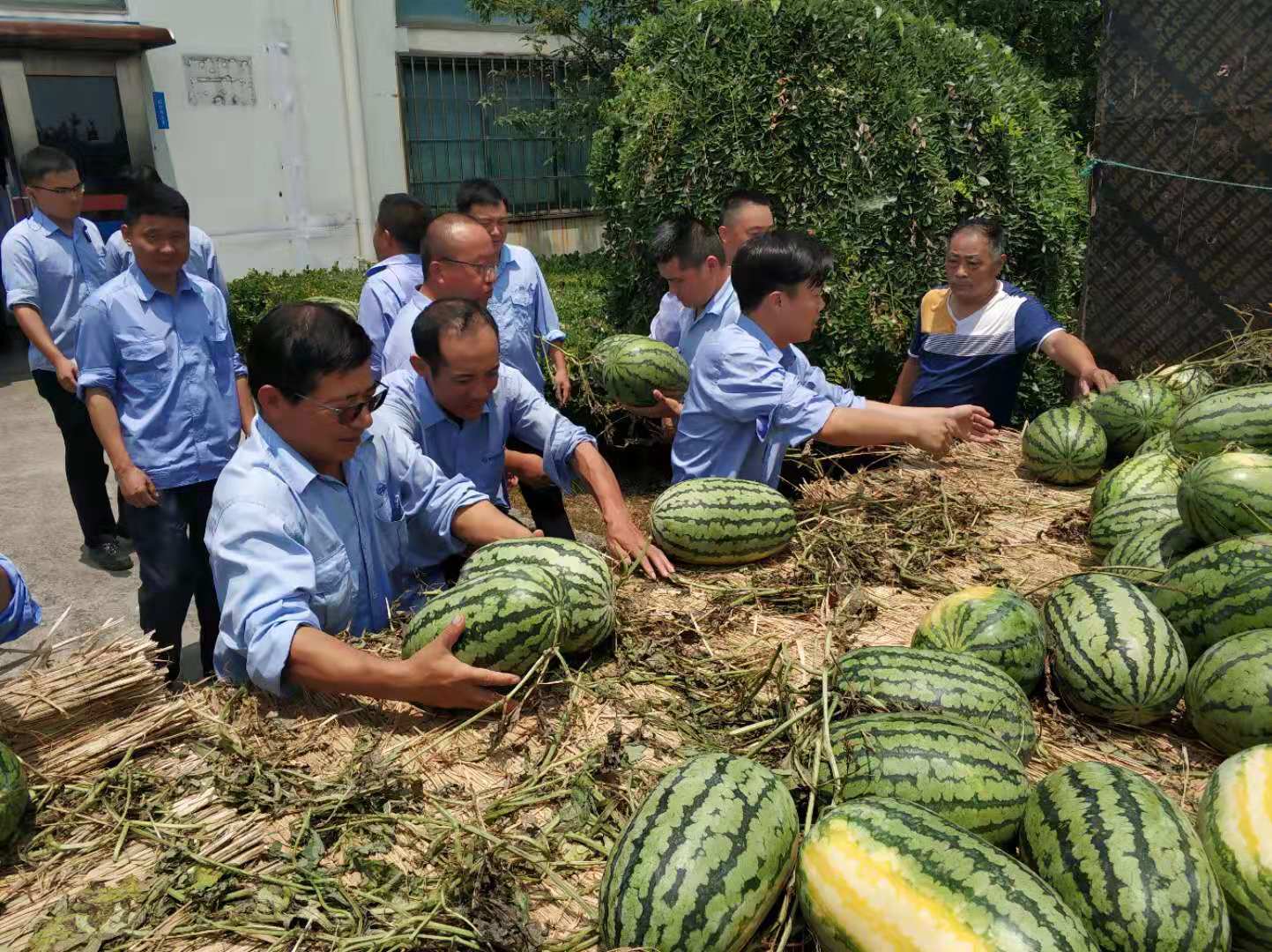 第52頁_新聞中心_蕪湖造船廠有限公司