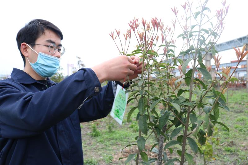 1584066791512995.jpg 1584066791512995.jpg