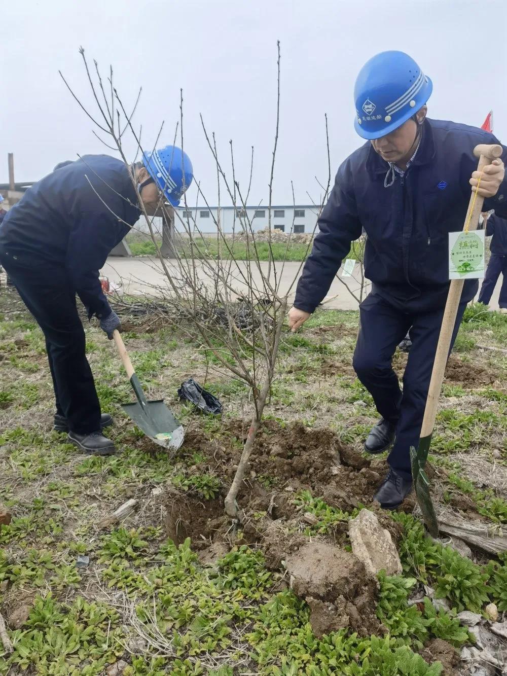 1615691617450477.jpg 1615691617450477.jpg